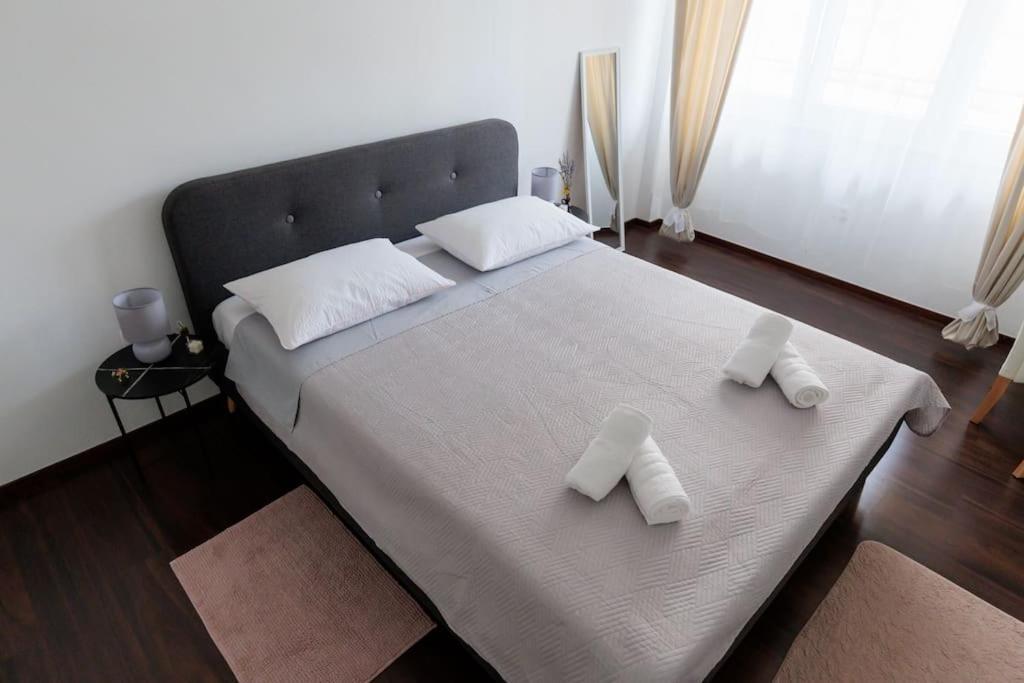Apartment Dominicus Zadar